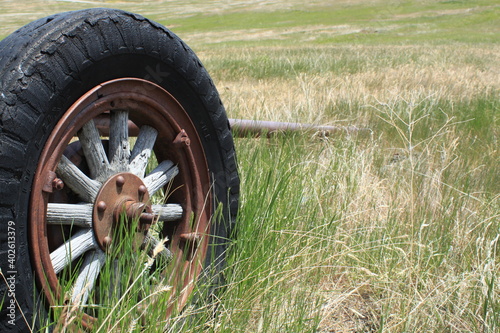wheel in the grass