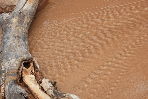 close up on a sandy river in Utah
