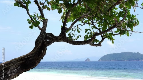 beautiful white beach under clear sky at Tropicana