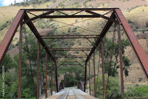 bridge over the river in the forest