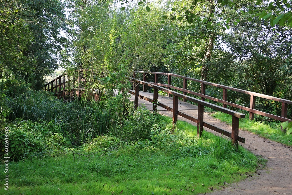 beautiful small wooden bridge in a romantic green nature