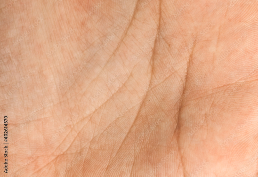 The texture of the skin of a woman's hand with lines on the palm. The texture of the skin of a woman's hand with lines on the palm.