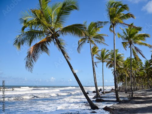 Praia de Comandatuba na Bahia, Brasil com coqueiros e céu azul com terra preta photo