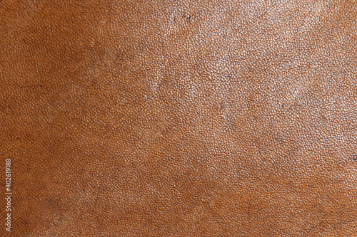 leather grunge background: an old piece of tough camel skin, with scuffs, spots, scars