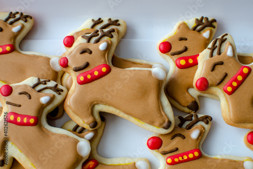 Close-up of homemade Rudolph the Red-nosed Reindeer Christmas cookies photo