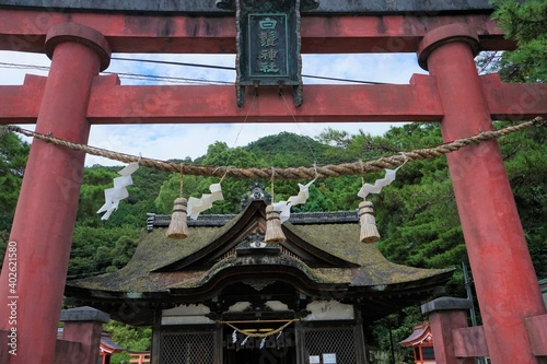 Shirahige shrine with Torii Gate, Shiga, Japan - 滋賀 白髭神社 鳥居	 photo