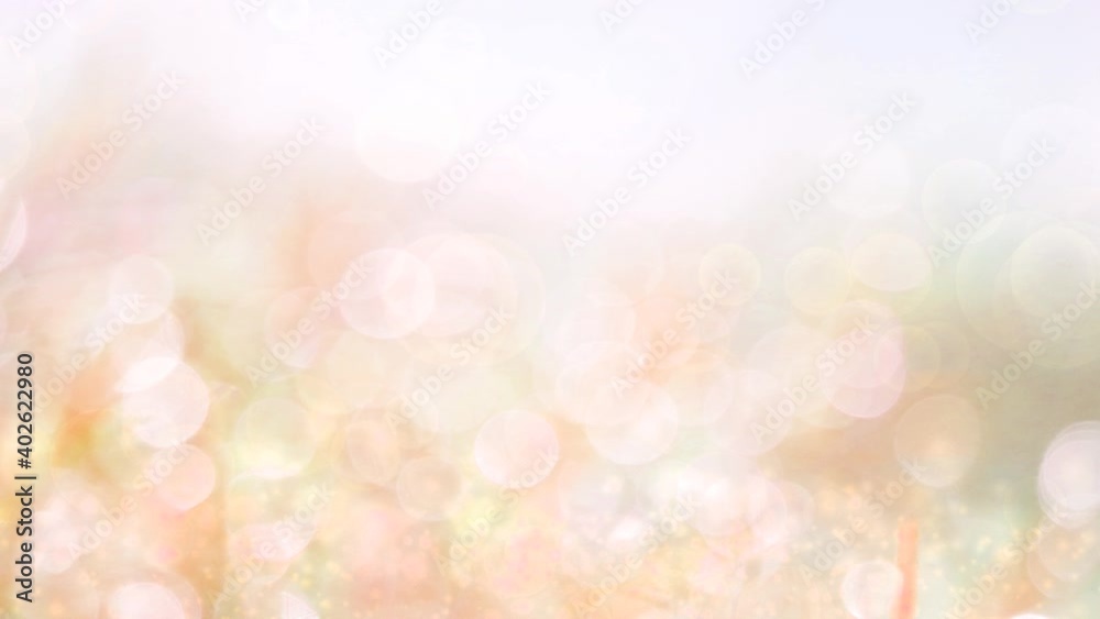 fresh autumn white glitter with sparkle abstract blur leaves flower in garden fresh autumn white glitter with sparkle abstract blur leaves flower in garden