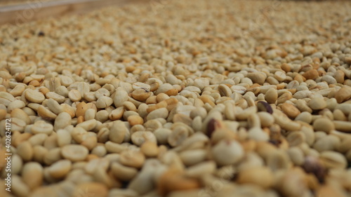 Coffee beans being able to use background