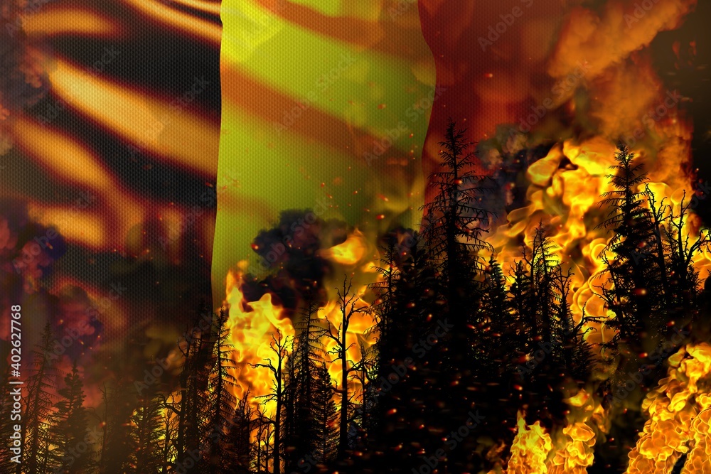 Big forest fire fight concept, natural disaster - infernal fire in the trees on Belgium flag background - 3D illustration of nature