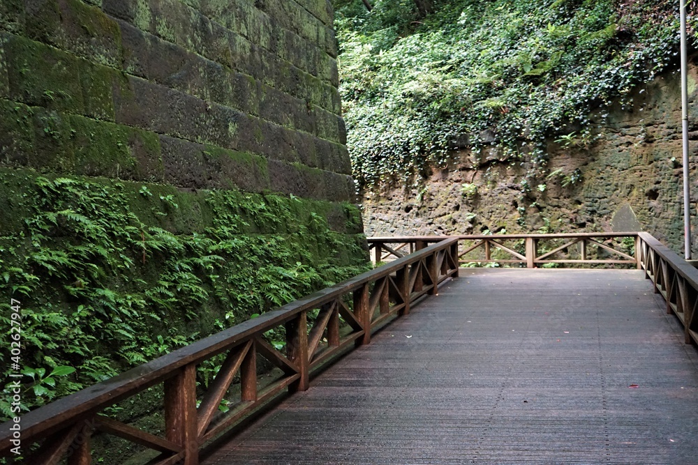 Trail road surrounded by green moss stone in Sarushima, Kanagawa, Japan - 神奈川 猿島 苔のついた石垣と登山道 Trail road surrounded by green moss stone in Sarushima, Kanagawa, Japan - 神奈川 猿島 苔のついた石垣と登山道