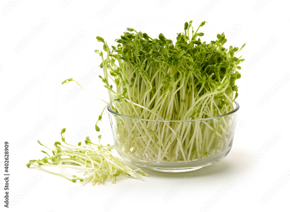 Bunch of snow pea microgreen on white background Bunch of snow pea microgreen on white background