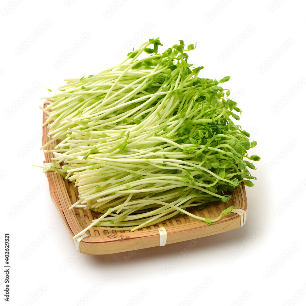Bunch of snow pea microgreen on white background Bunch of snow pea microgreen on white background