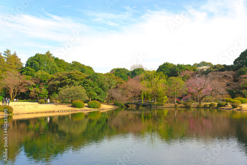 Photography of Tokyo