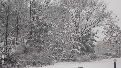 View of snow on ground and trees in a public park during winter