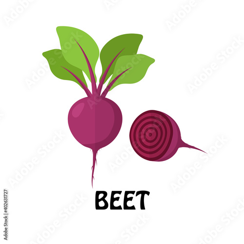Vector Illustration Flat Beet isolated on white background , Raw materials fresh vegetable