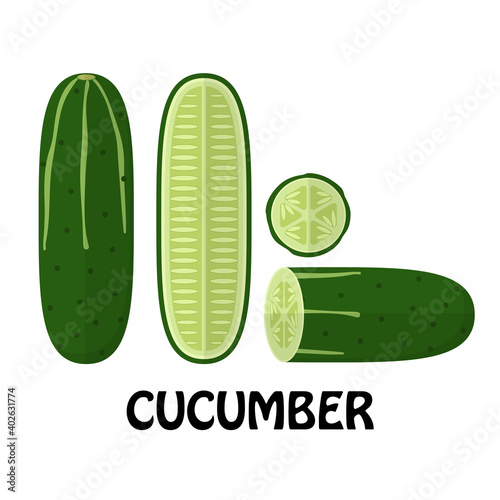 Vector Illustration Flat Cucumber isolated on white background , Raw materials fresh vegetable