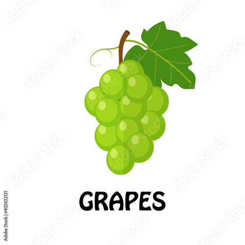 Vector Illustration Flat Green Grapes isolated on white background , minimal style , Raw materials fresh fruit