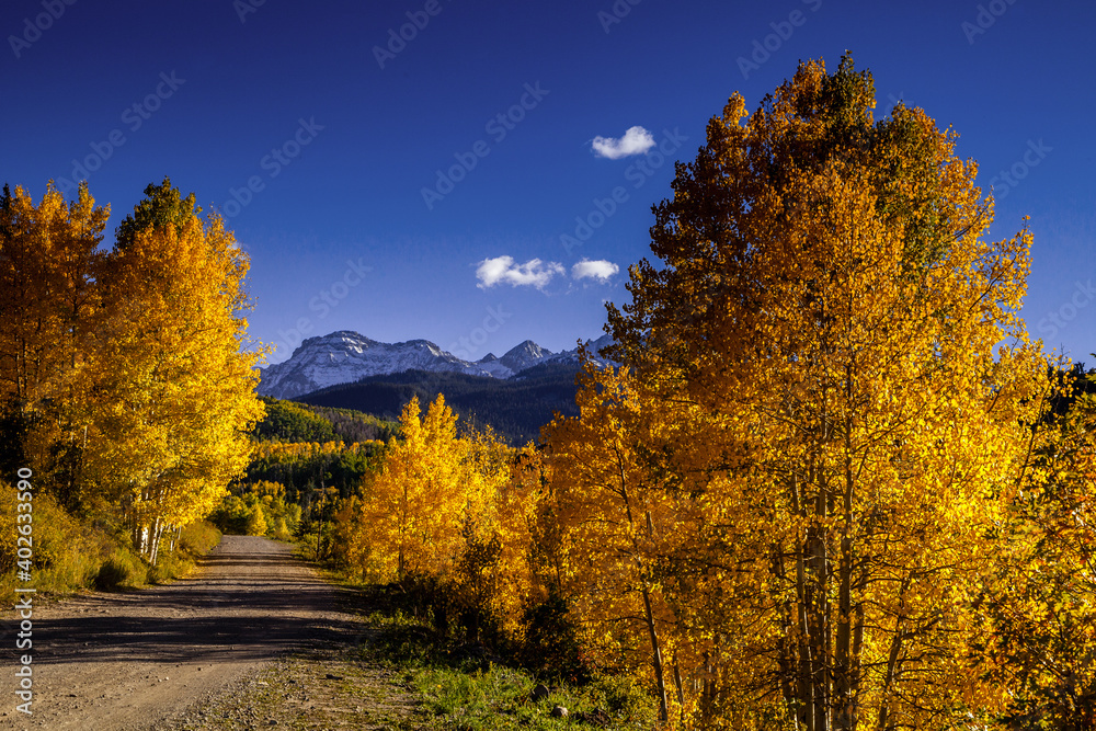 Mountain road in Colorado at autumn