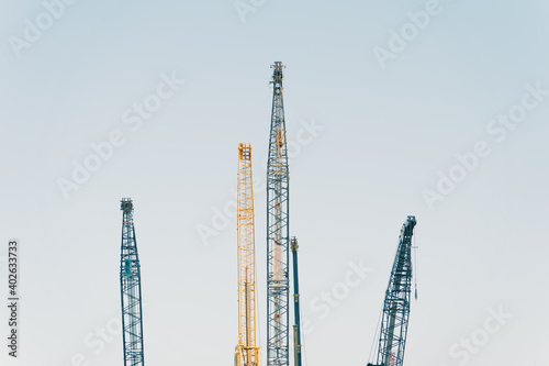 crane