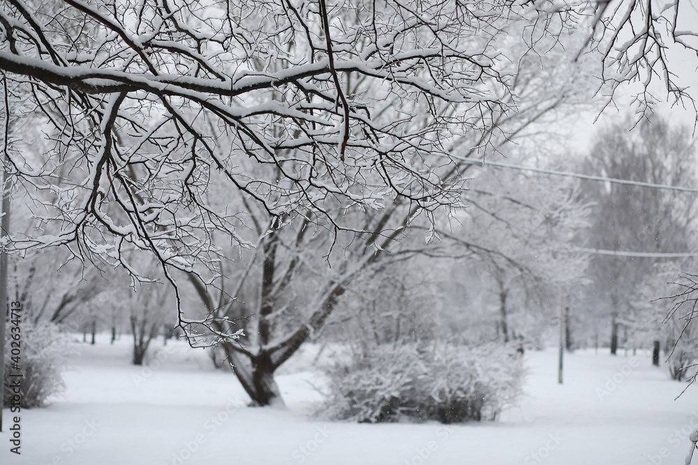 Winter landscape. Forest under the snow. Winter in the park. Winter landscape. Forest under the snow. Winter in the park.