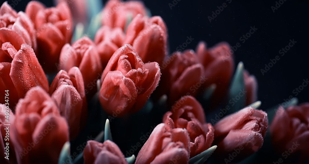 Bouquet of fresh flowers. Holiday gift to your loved one. Background St. Valentine's Day. Rose, tulip, iris flower arrangement. Bouquet of fresh flowers. Holiday gift to your loved one. Background St. Valentine's Day. Rose, tulip, iris flower arrangement.