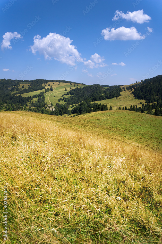 Obraz premium Summer Mountains, Pieniny. View from Smolegowa Skala on Brysztanskie Skaly and Rozdziela Pass, Beskid Sadecki.