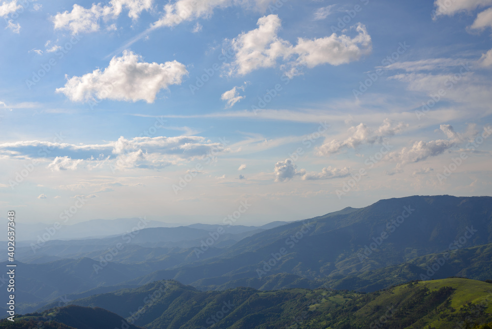 Green valley nature landscape.