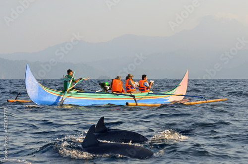 Dolphins surfacing water near local boat with tourists inside in the waters of  Kiluan Gulf, Sumatra, Indonesia photo