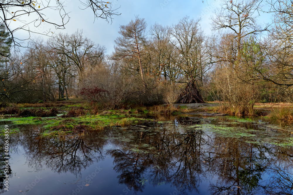 water reflection in the fairy pond. fontainebleau forest