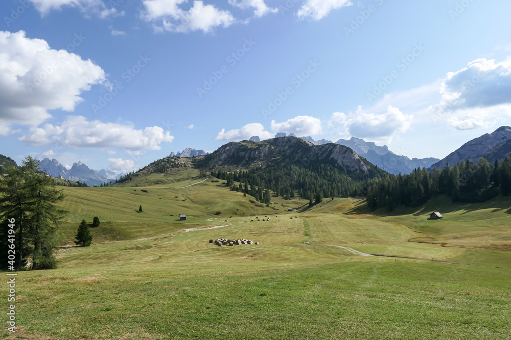 A panoramic view on the high Italian Dolomites. Sharp and steep mountain slopes. Lush green plateau around with some wildflowers and trees growing in between. A few clouds in the back. Serenity