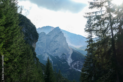 Panoramic view on the high Italian Dolomites peaks. There are dense pine trees in the front, distant mountain peaks are shrouded with a bit of haze and overgrown with small plants. Sunny day. Calmness photo