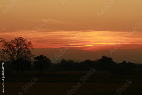 Orange light of sunrise, silhouette and blue sky in the morning 