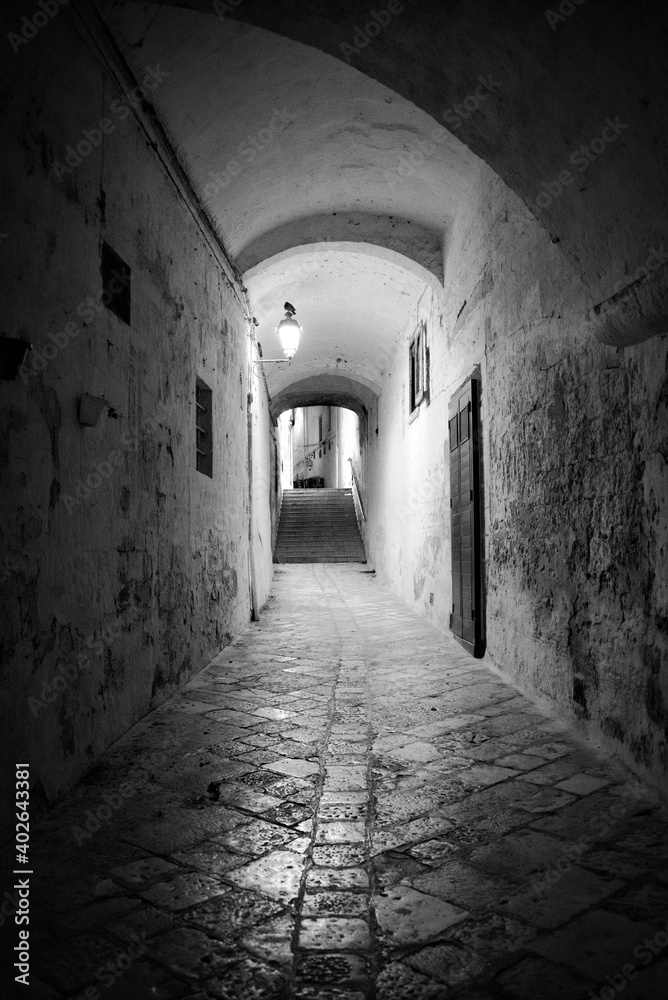 Street in a Medieval Village in the Mountains of Southern Italy In Black and White