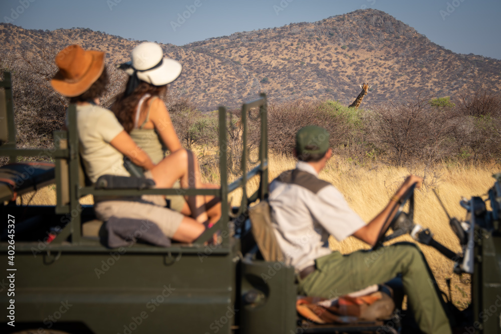 Giraffe watches driver and passengers in jeep Giraffe watches driver and passengers in jeep