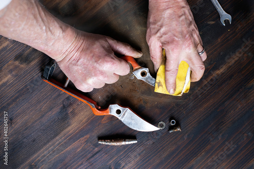 men hands cleaning and assembling a pair of garden scissors. Spring garden preparation. Image with copy space