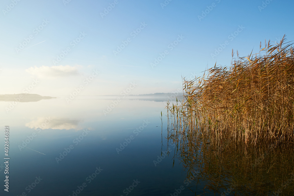 mist laying over the calm water on a silent morning at Flyndersoe lake in Denmark mist laying over the calm water on a silent morning at Flyndersoe lake in Denmark
