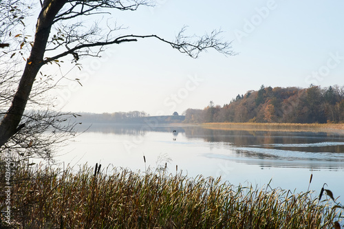 view over calm water at Flyndersoe lake in morning sun © lavrsen