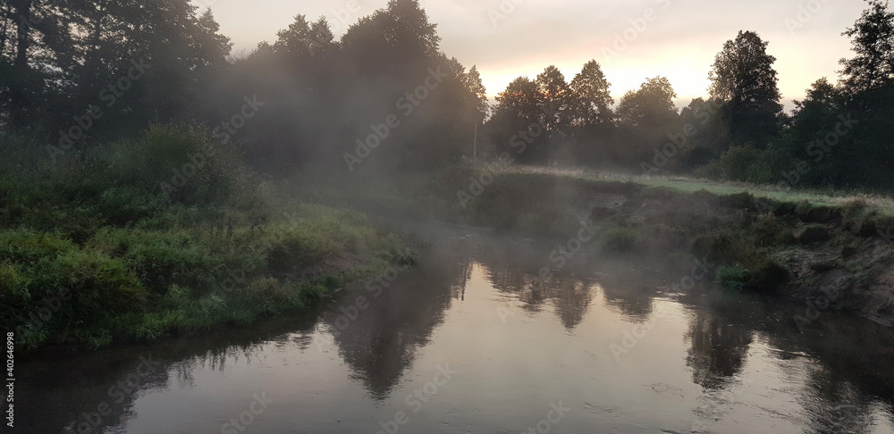 Morning on the river. Early foggy morning. Reeds.The surface of the water is covered with fog.Forest in the fog.