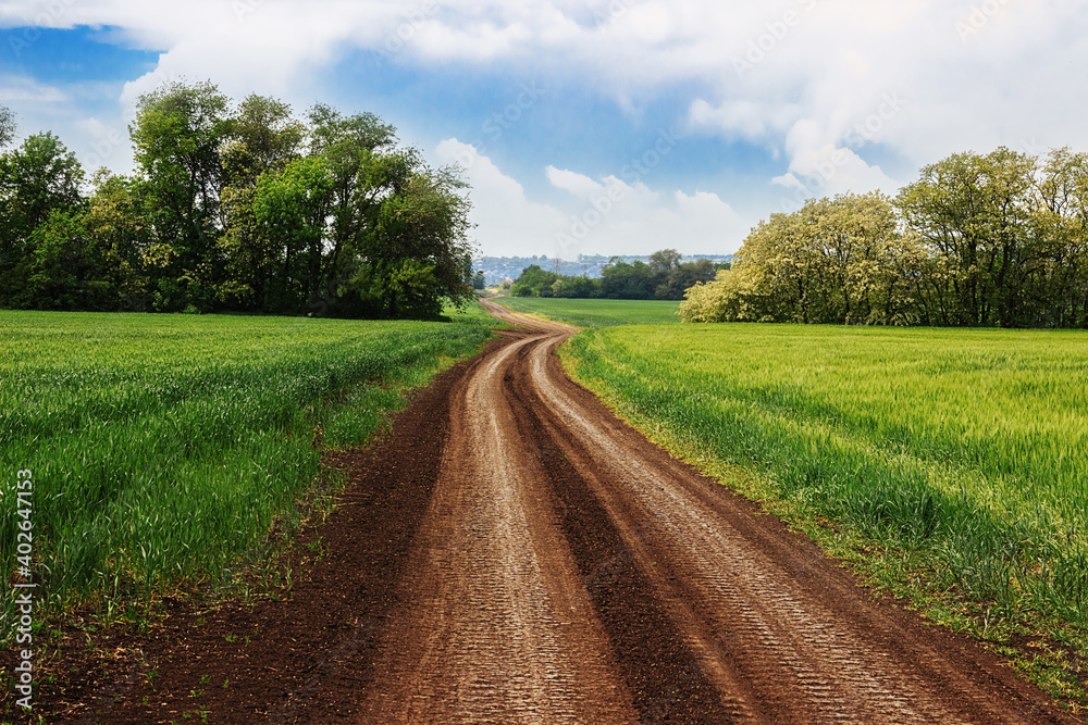 A winding road among green fields