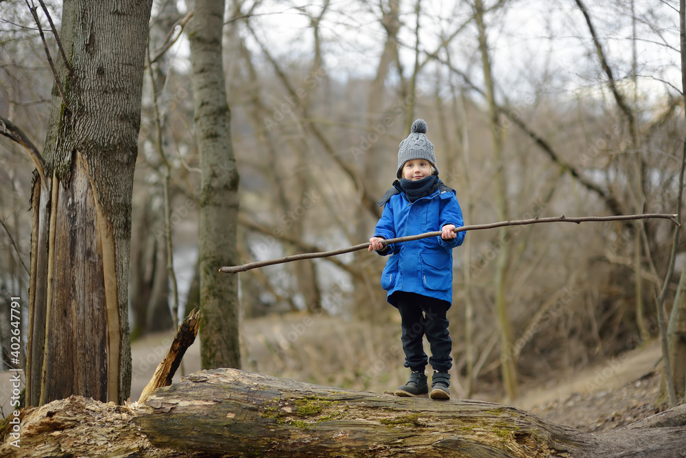 Little boy hiking in the forest on a early spring. Kid playing and having fun in spring or autumn day. Little boy hiking in the forest on a early spring. Kid playing and having fun in spring or autumn day.