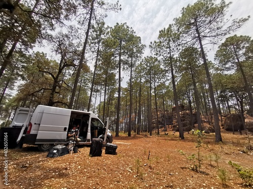 Camioneta en el bosque