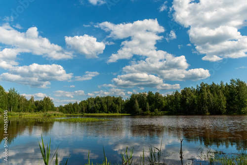Summer forest landscape with blue sky and white curly clouds. Reflection in the lake.