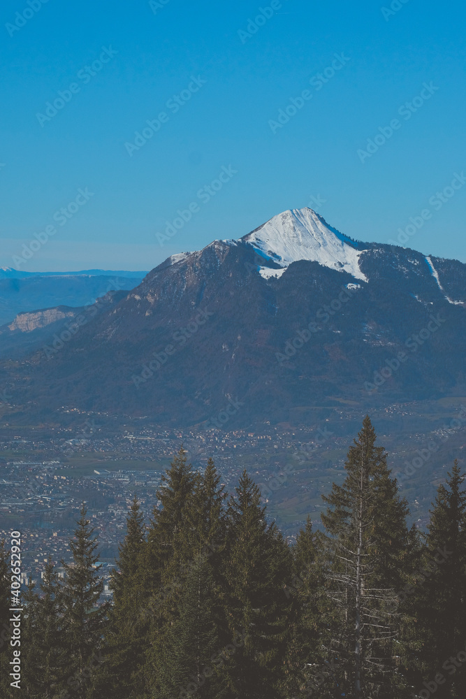 Alpine Mountains with Trees in Foreground