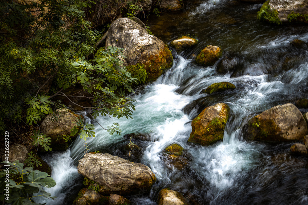 Rápidos en el rio