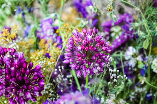 A bouquet of wild  wild flowers of bright color.
