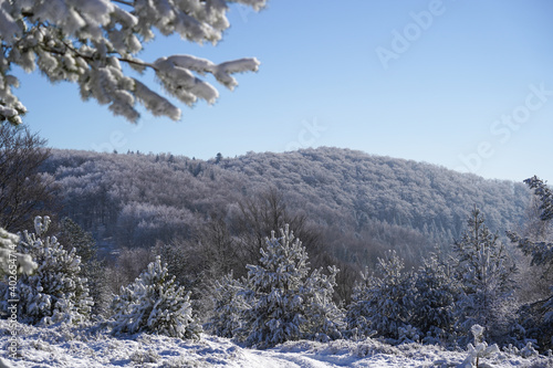 Fototapeta Naklejka Na Ścianę i Meble -  Beskid Mountains in winter sunny day