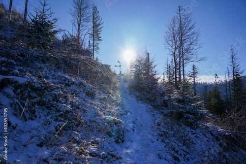 Fototapeta Naklejka Na Ścianę i Meble -  Mountains trail covered with snow in winter sunny day