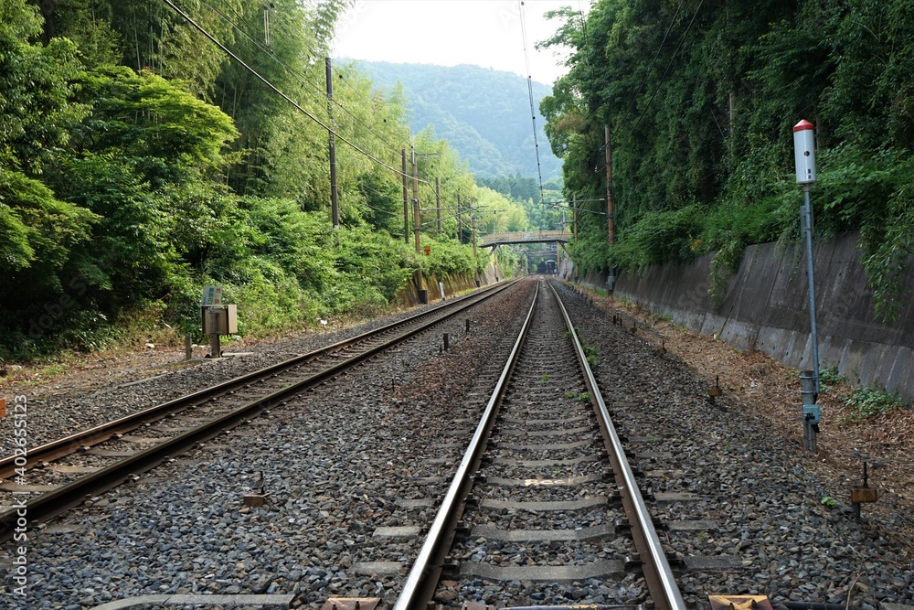 Fototapeta premium Railway over Bamboo Grove in Arashiyama, Kyoto prefecture, Japan - 京都 嵐山 線路と竹林の小径 