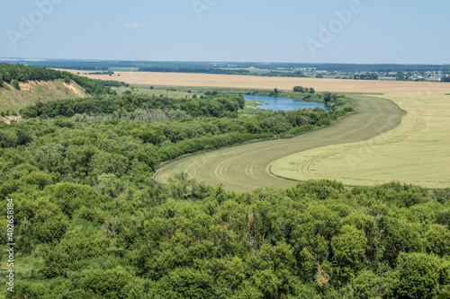 A wide river flows into the distance. Trees grow along the banks. Summer, beautiful landscape