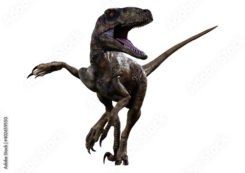 3D Rendering Dinosaur Deinonychus on White